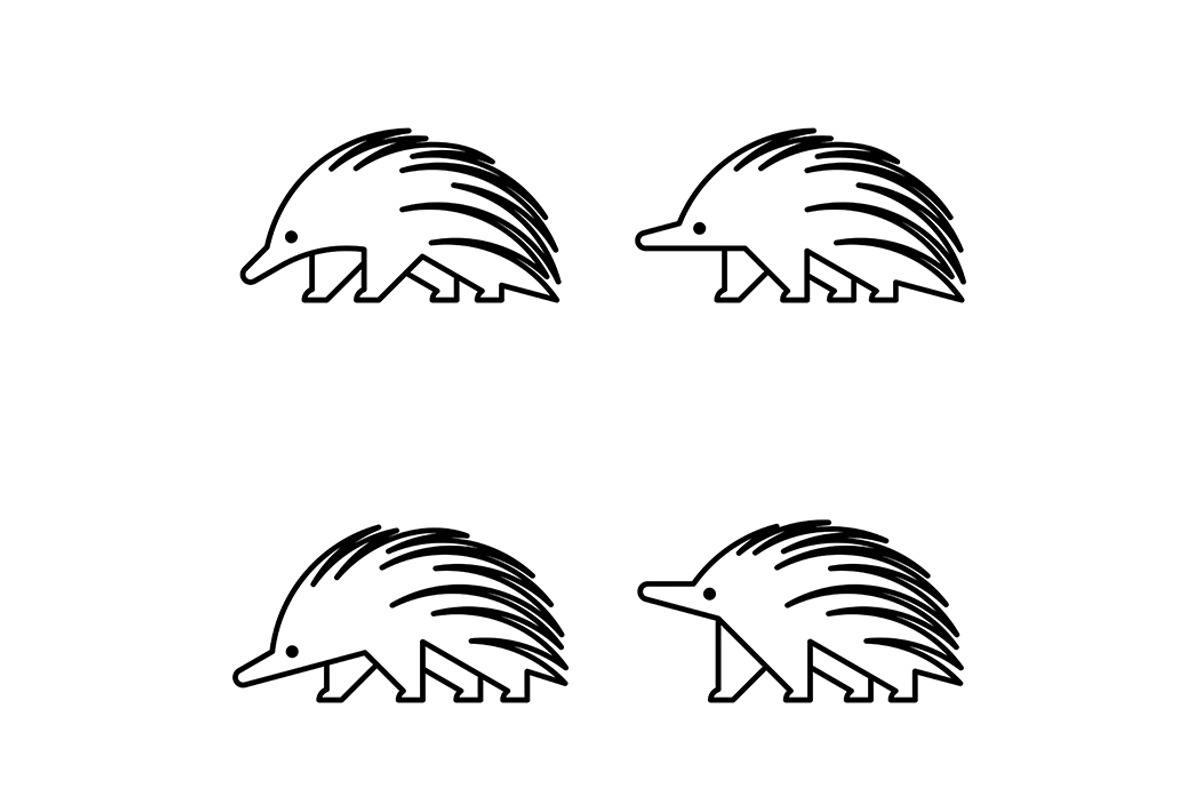 Echidna Logo, a Graphic by NataliiaVolyk (Photo 2 of 6)