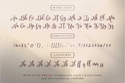 Filladelphia - Beautiful Script, a Script Font by Dirtytemp Studio (Thumbnail 7 of 10)