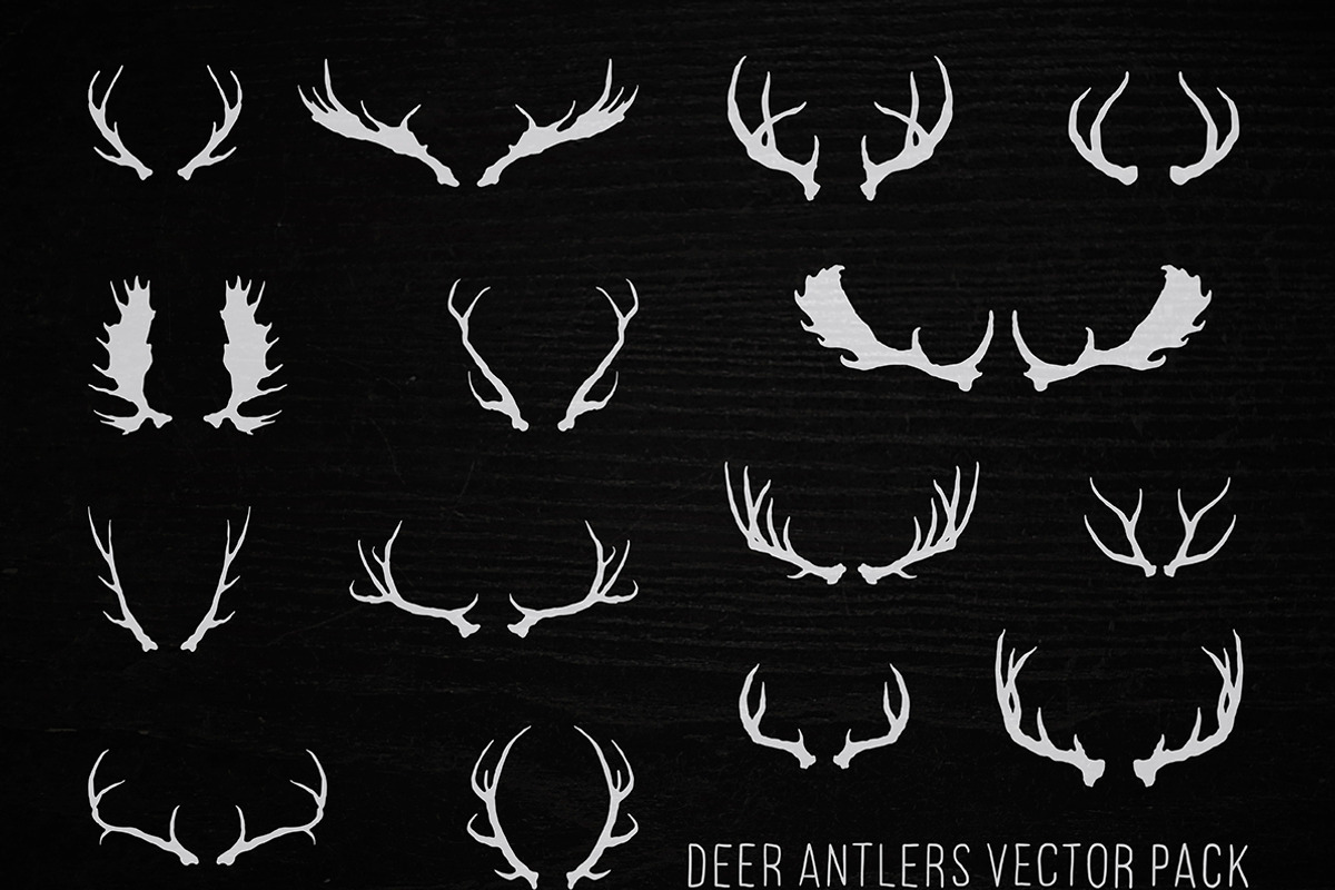 Hand Drawn Deer Antlers Vectors, an Illustration by danielcomerci (Photo 2 of 3)