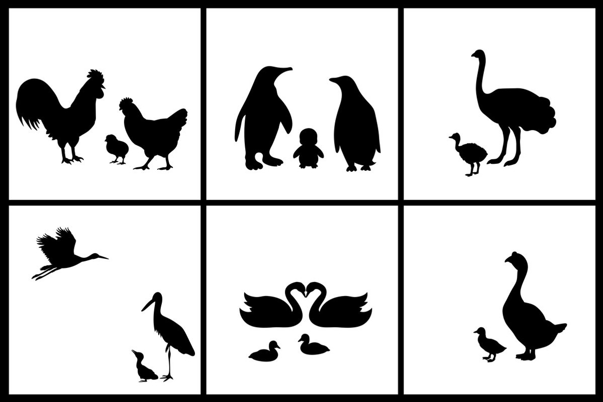 Silhouettes 50 families of animals, an Icon by kozyrevaelena (Photo 5 of 5)