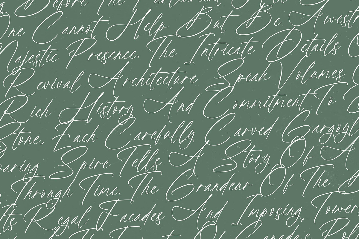 Political Otthestic Modern Script, a Script Font by stylishtype.co (Photo 14 of 20)