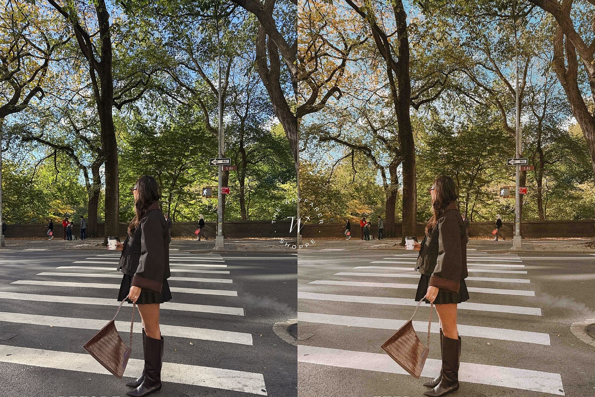 15 Vibrant Fall Lightroom Presets, a Preset Add-On by TheWayfarerShoppe (Photo 9 of 9)