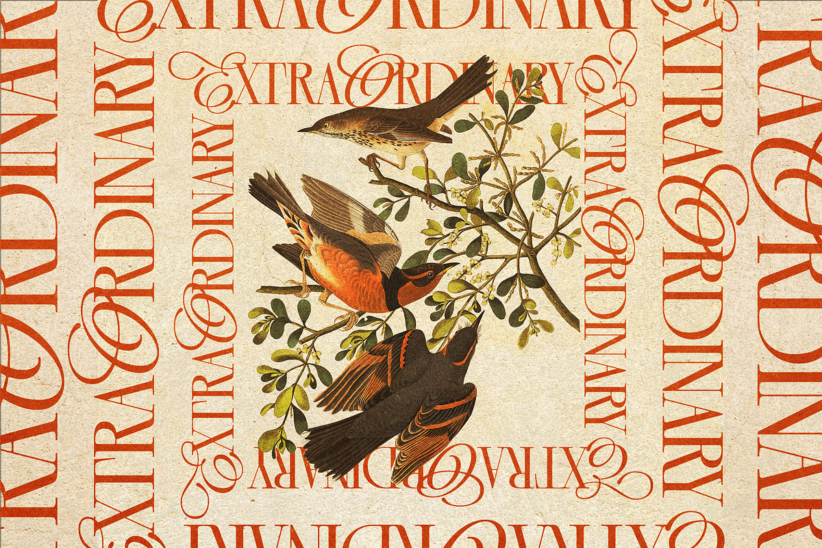Black Saphire - Hybrid Serif, a Serif Font by Krismagraph (Photo 5 of 14)
