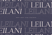 Leilani - Hand Drawn Elegant Serif, a Serif Font by Studio Aurora (Thumbnail 4 of 9)