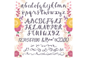 Calligraphic Vector Font With Numbers Ampersand And Symbols Flower Hand Drawn Alphabet Lettering