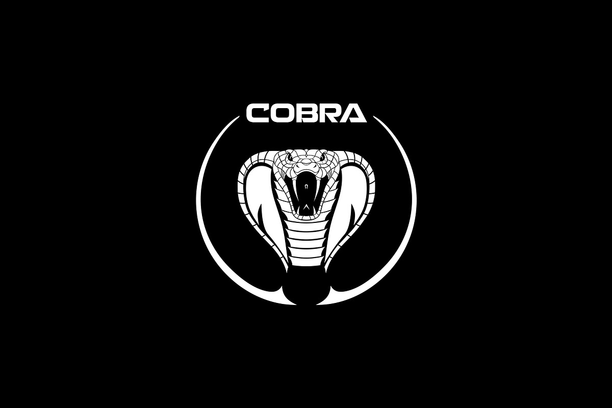 Cobra logo, a Branding & Logo Template by Midgardians (Photo 3 of 4)