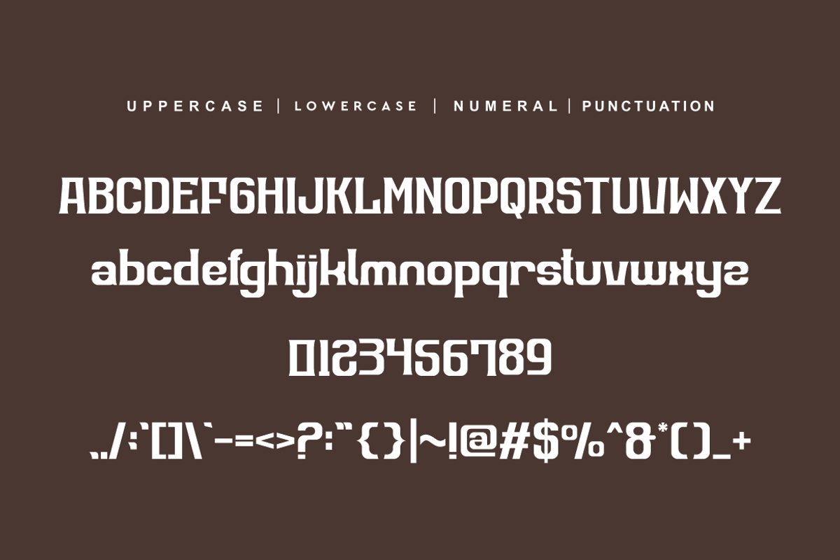 Rister Kollefos, a Serif Font by QR Design Studio (Photo 7 of 10)