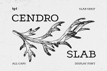 Cendro Slab - Slab Serif Font