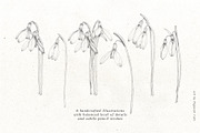Snowdrop Flowers & Card Templates, an Illustration by Pigment Café (Thumbnail 5 of 8)