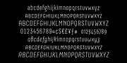 Neubau Pro, a Sans Serif Font by TipografiaRamis (Thumbnail 6 of 11)