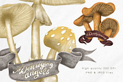 Poisonous mushrooms clipart, an Education Illustration by Yelloo Fish (Thumbnail 6 of 10)