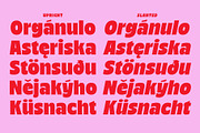 Nicka - Bold Display Sans, a Sans Serif Font by The Native Saint Club (Thumbnail 5 of 16)