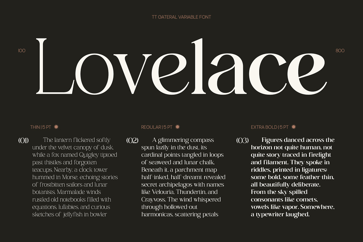 TT Gateral – Elegant Serif Typeface, a Serif Font by truetype (Photo 12 of 15)