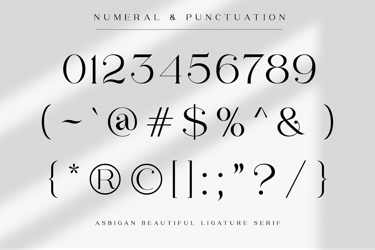 Asbigan, a Serif Font by Sealoung (Photo 12 of 21)