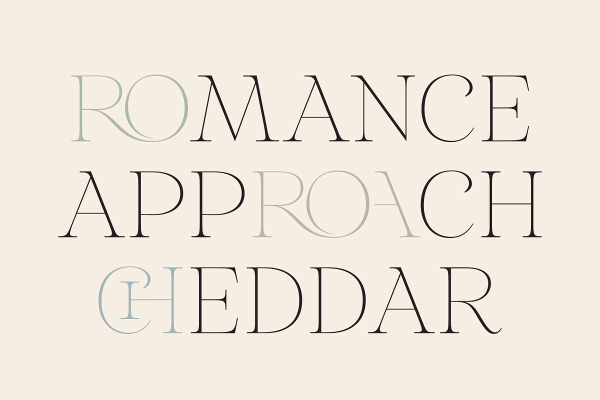 Aurelius - Feminine Chic Serif, a Serif Font by Harmonais Visual (Photo 12 of 35)
