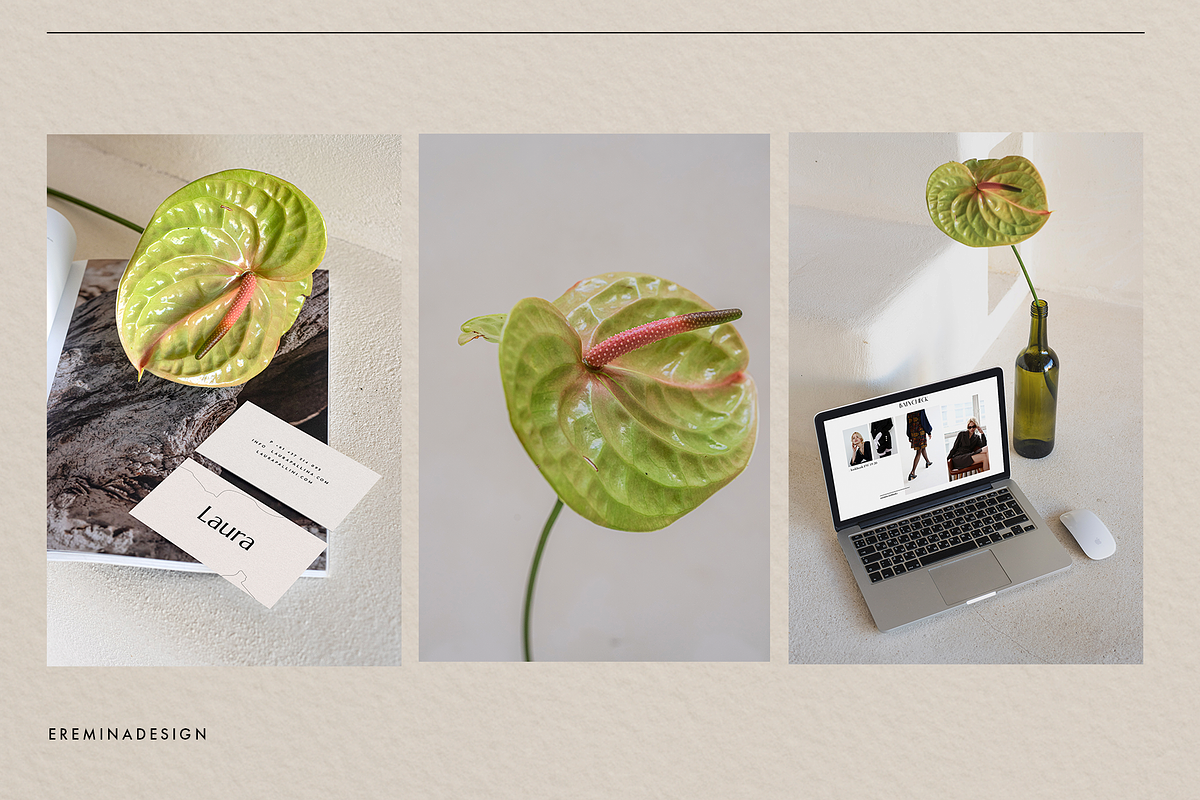 Bali Photo Mockup Bundle, a Books & Magazine Mockup by Lesse Studio (Photo 13 of 17)
