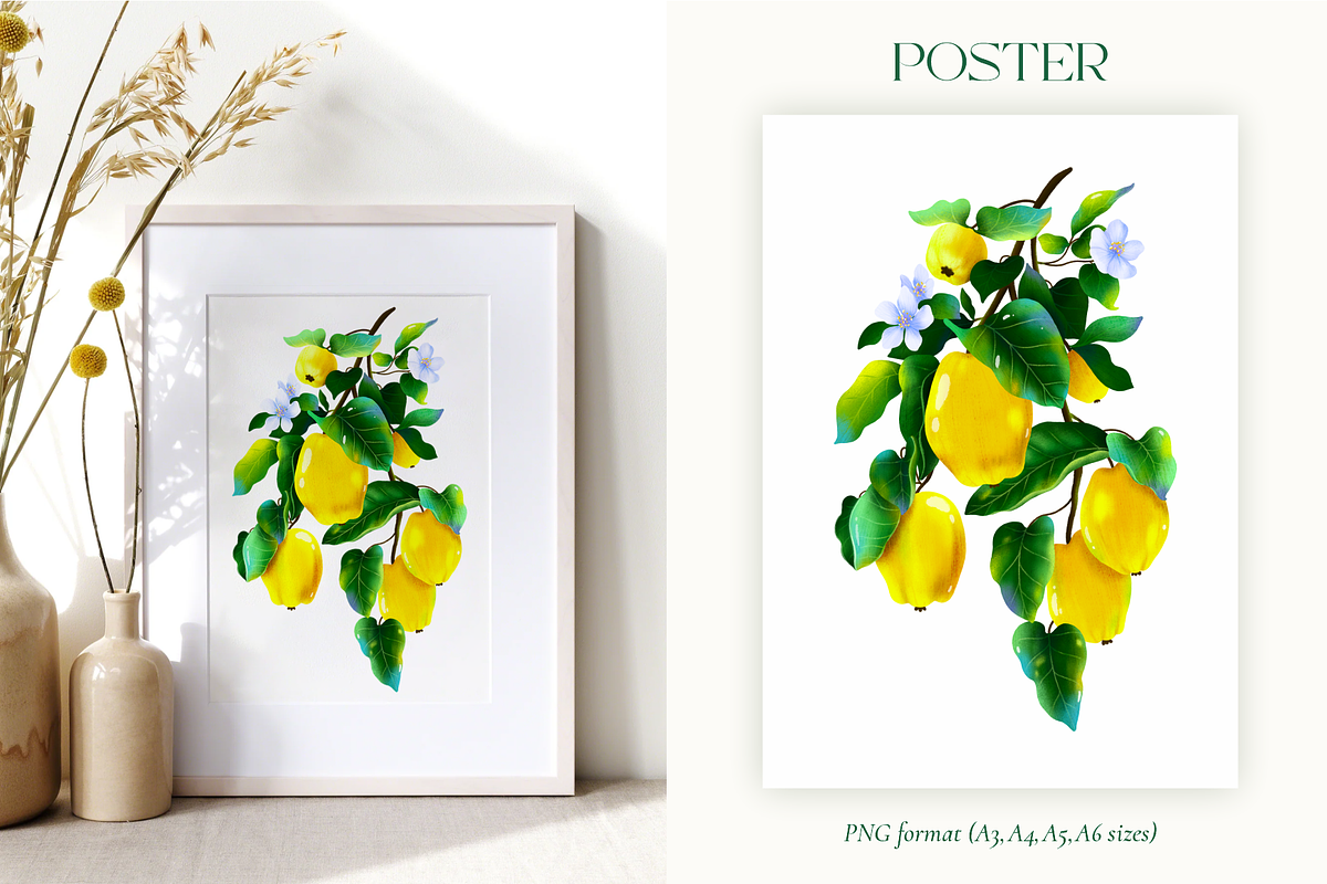 Quince fruit and leaves clipart, a Food Illustration by Harmony Draws (Photo 3 of 7)