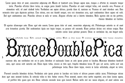Bruce Double Pica PACK, a Serif Font by Intellecta Design (Thumbnail 1 of 6)