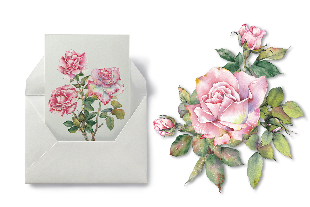 Watercolor Garden Rose Clipart, a Decorative Illustration by Jeanna Draw (Photo 7 of 11)