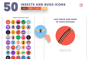 50 Insects And Bugs Icons