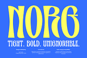 NORG — Condensed Display, a Serif Font by Get Studio (Thumbnail 1 of 8)