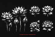 10 Bundle Dark Art Lotus Flower, an Illustration by Morspective (Thumbnail 5 of 7)