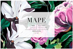 Mape, Bold Floral Pattern & Motifs!