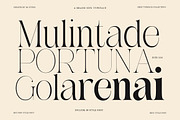 Awesome Gulgina | 18 Style Font, a Serif Font by IM Studio (Thumbnail 6 of 15)