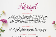 Pink mood set. Font & patterns., a Script Font by olly87 (Thumbnail 4 of 8)