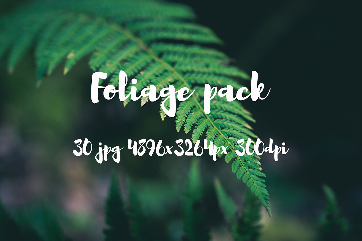 Foliage pack, a Templates & Theme by ApertureVintage (Photo 11 of 21)