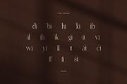 Sandis Elegant Serif Font, a Serif Font by Perfectype (Thumbnail 8 of 8)