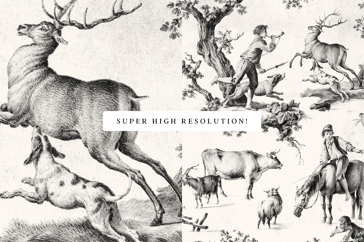 Toile De Jouy Design Collection, a Decorative Illustration by Century Library (Photo 15 of 17)