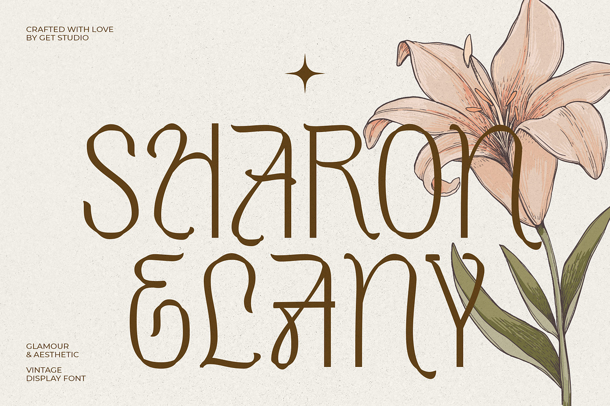 Sharon Elany, a Sans Serif Font by Get Studio (Photo 1 of 27)