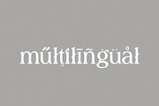 stardust - classical & vintage serif, a Serif Font by Mikhail Kitsune (Thumbnail 8 of 8)