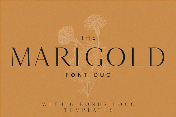 Marigold Font Duo And Logo Set