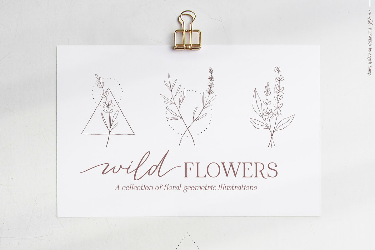 Wild flowers illustration clipart, an Illustration by Angele Kamp (Photo 14 of 15)