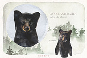 Woodland Babies Wild Animals Clipart, an Animal Illustration by whiteheartdesign (Thumbnail 4 of 28)