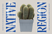 Moonni Zehher Bold Tall Serif, a Serif Font by timelesstype.co (Thumbnail 2 of 20)