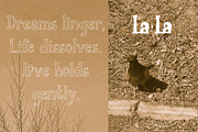 Still City Experimental serif font, a Slab Serif Font by Yelloo Fish (Thumbnail 11 of 12)