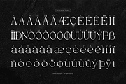 Evoxsy | Elegant Serif, a Serif Font by gracetype_studio (Thumbnail 12 of 12)