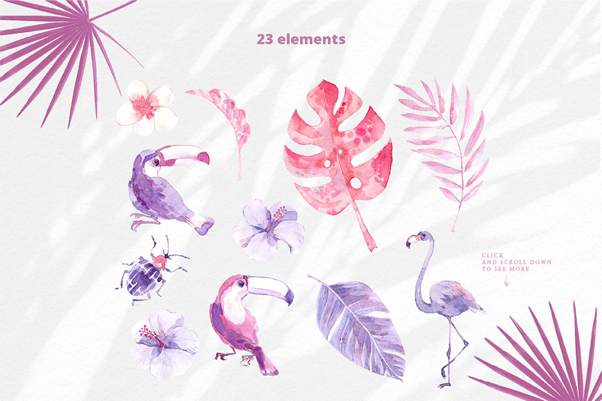 Sunset in the Tropics graphic set., a Decorative Illustration by Dinkoobraz (Photo 8 of 9)