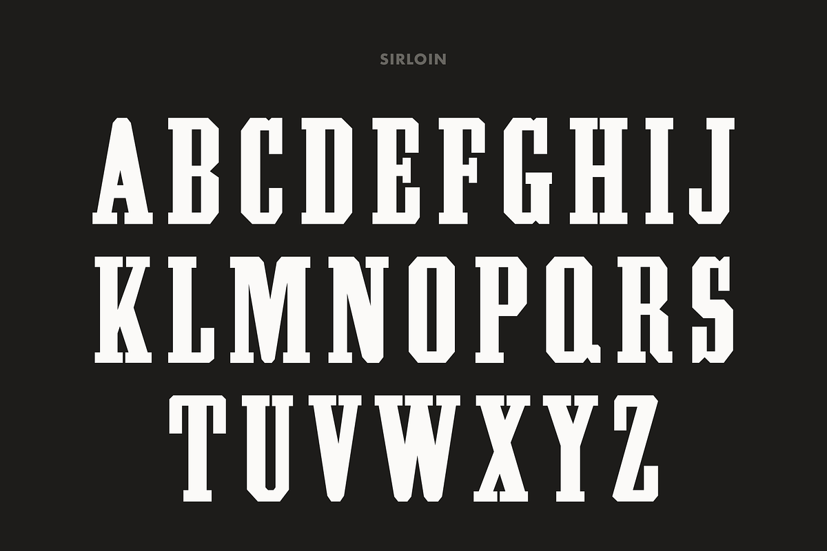Pale Horse, a Slab Serif Font by Pale Horse (Photo 5 of 11)