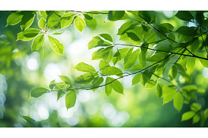 leaves bokeh green ai generated, an Abstract Photo by pikepicture
