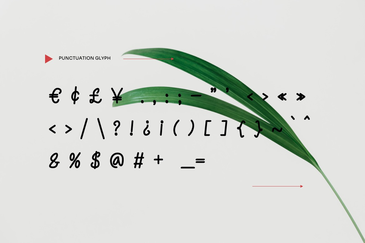Nieckos - Monoline Handwritten Font, a Handwritten Font by Dhabee (Photo 5 of 12)