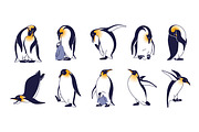 King penguins set + seamless pattern, an Animal Illustration by PaperTrident (Thumbnail 1 of 4)