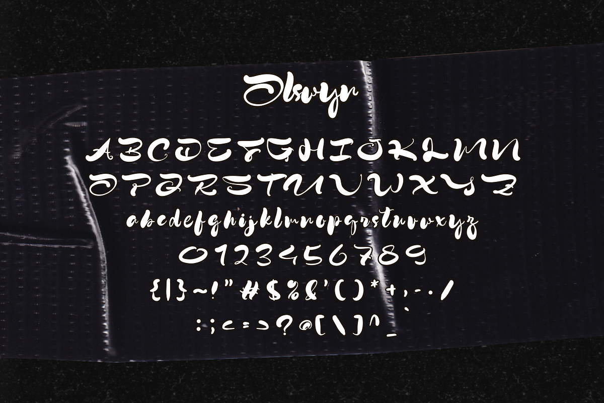 Olswyn, a Script Font by Gatype (Photo 8 of 11)