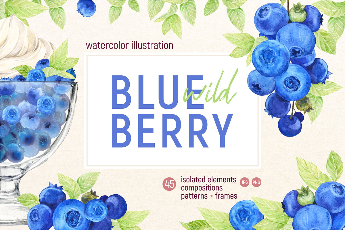 Wild Blueberries. Watercolor Clipart, a Food Illustration by Tata Pilip (Photo 1 of 8)