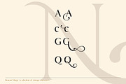The Modern Serif Font Bundle, a Serif Font by Design 265 (Thumbnail 4 of 33)