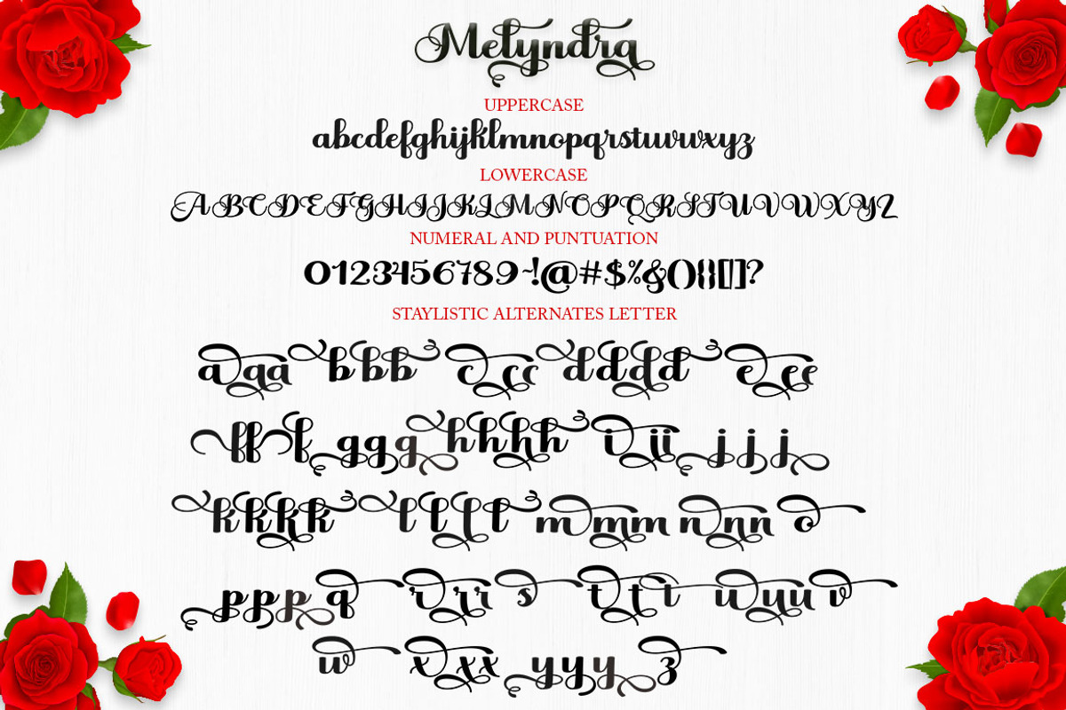 Melyndra Script, a Script Font by Has_rizal (Photo 3 of 10)
