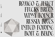 Ephidona, a Serif Font by Bagerich Type Foundry (Thumbnail 4 of 16)